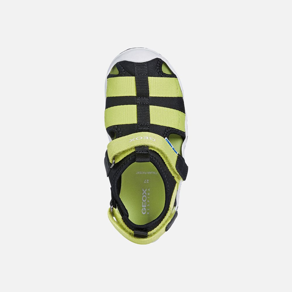 Geox Sandals Black/Green Wader - Geox Boys Shoes - ZJUTHR514